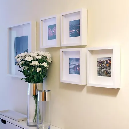 Opo Trinta E Um * 波尔图