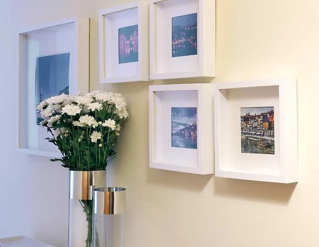 Opo Trinta E Um * Oporto