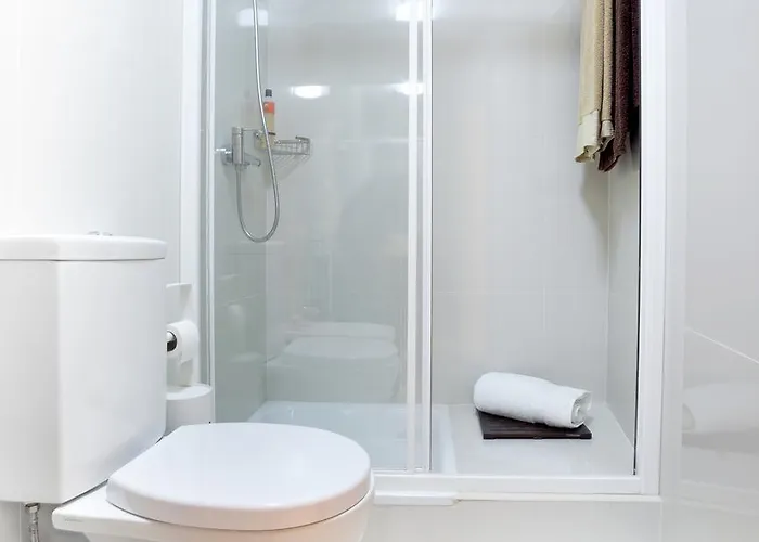 Opo Trinta E Um Daire *